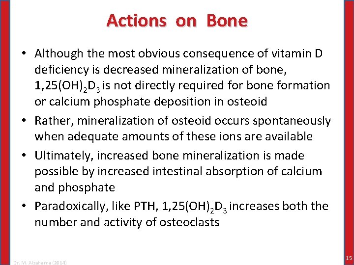 Actions on Bone • Although the most obvious consequence of vitamin D deficiency is