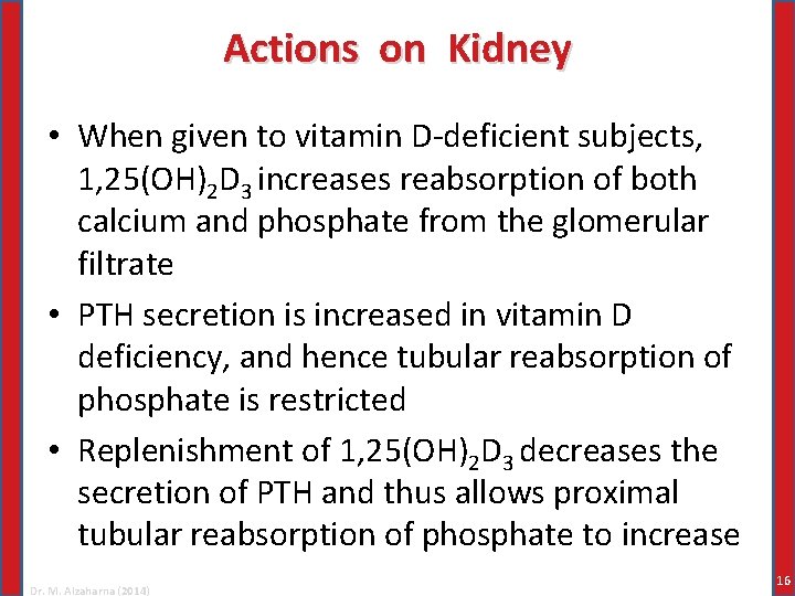 Actions on Kidney • When given to vitamin D-deficient subjects, 1, 25(OH)2 D 3