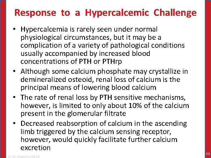 Response to a Hypercalcemic Challenge • Hypercalcemia is rarely seen under normal physiological circumstances,