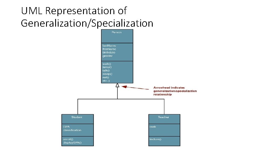 UML Representation of Generalization/Specialization  UML Representation of Generalization/Specialization