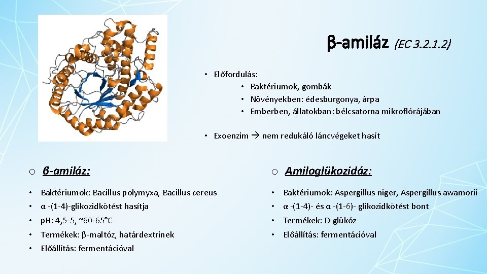 β-amiláz (EC 3. 2. 1. 2) • Előfordulás: • Baktériumok, gombák • Növényekben: édesburgonya,