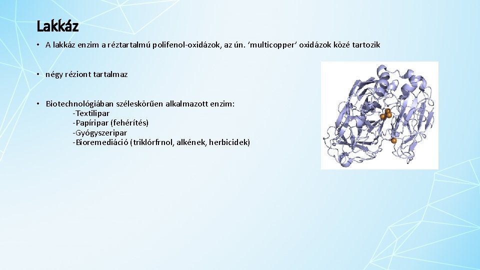 Lakkáz • A lakkáz enzim a réztartalmú polifenol‐oxidázok, az ún. ’multicopper’ oxidázok közé tartozik