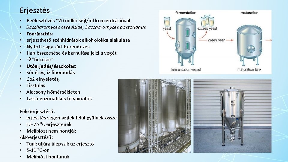 Erjesztés: • • • • Beélesztőzés ~20 millió sejt/ml koncentrációval Saccharomyces cerevisiae, Saccharomyces pastorianus