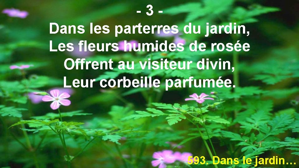 -3 Dans les parterres du jardin, Les fleurs humides de rosée Offrent au visiteur