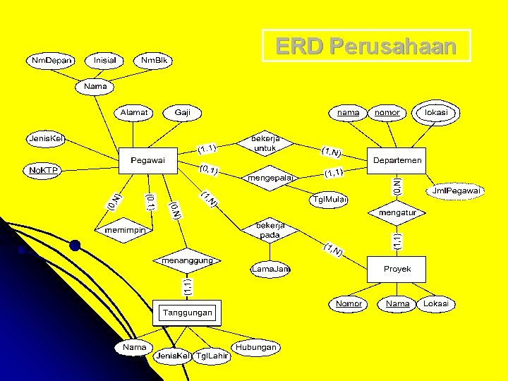 ERD Perusahaan ERD Perusahaan