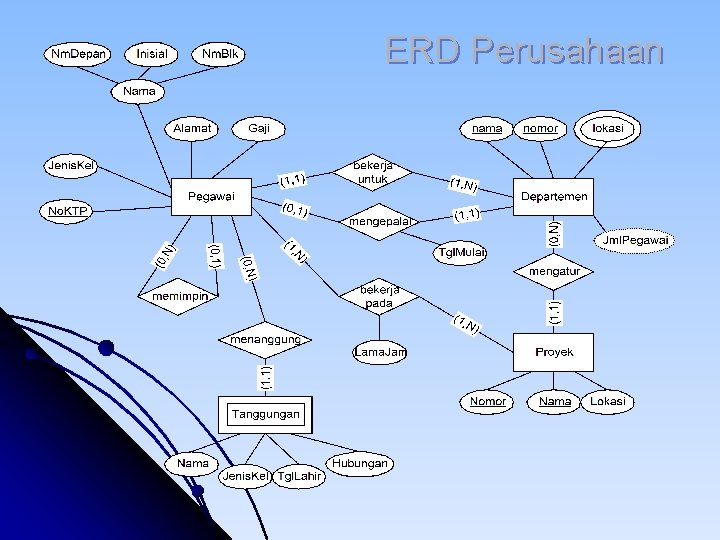 ERD Perusahaan ERD Perusahaan
