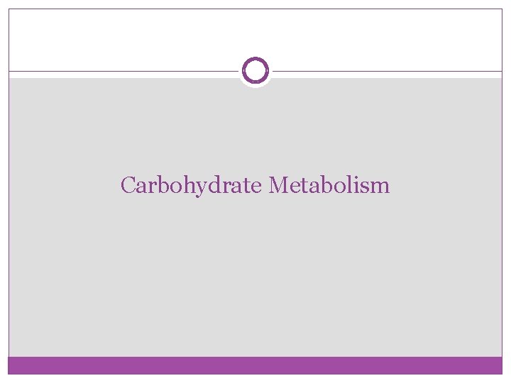Carbohydrate Metabolism 