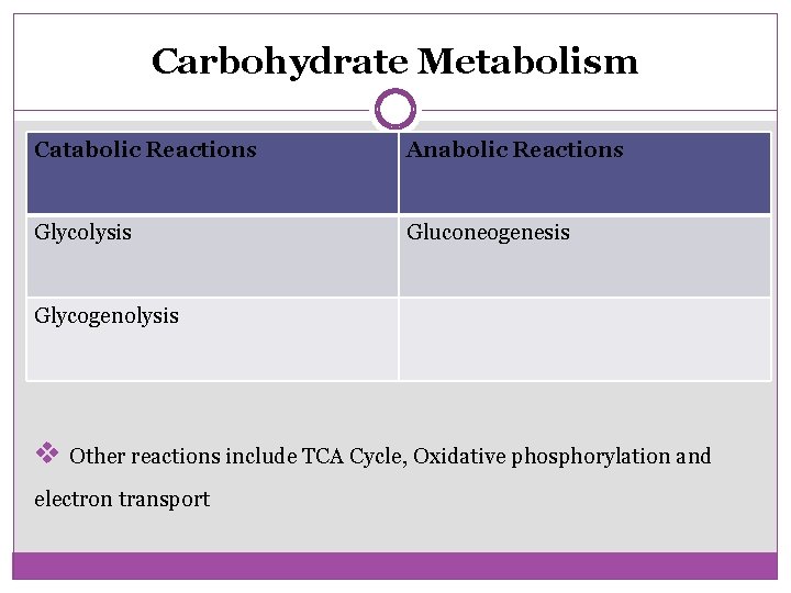Carbohydrate Metabolism Catabolic Reactions Anabolic Reactions Glycolysis Gluconeogenesis Glycogenolysis v Other reactions include TCA