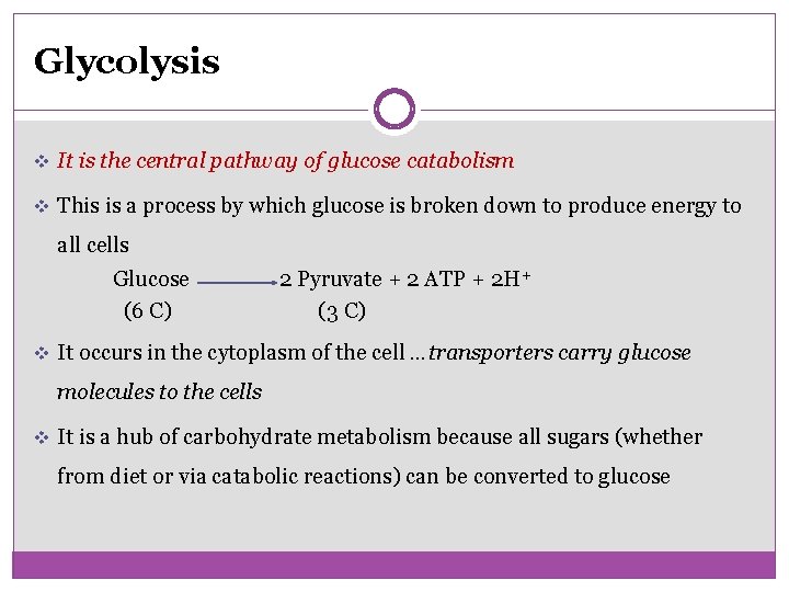 Glycolysis v It is the central pathway of glucose catabolism v This is a