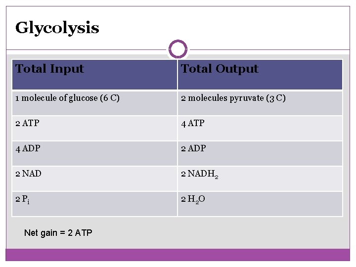 Glycolysis Total Input Total Output 1 molecule of glucose (6 C) 2 molecules pyruvate