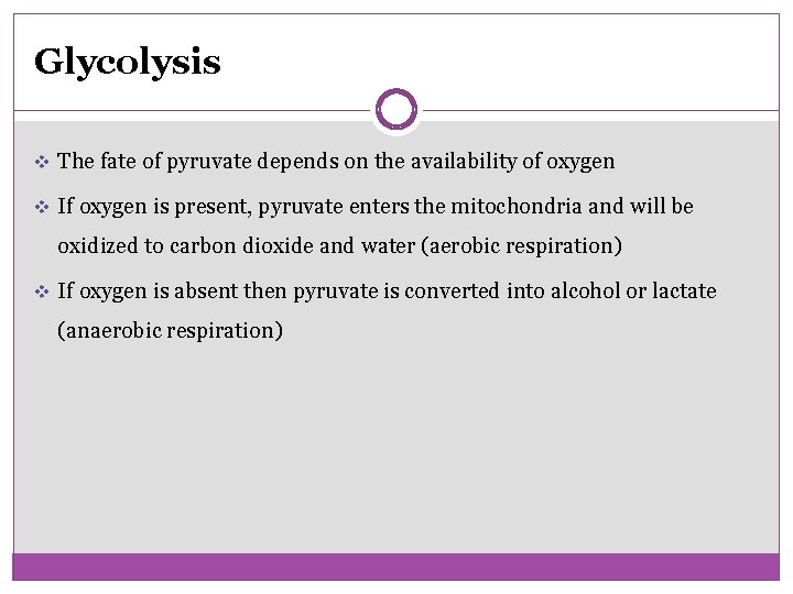 Glycolysis v The fate of pyruvate depends on the availability of oxygen v If
