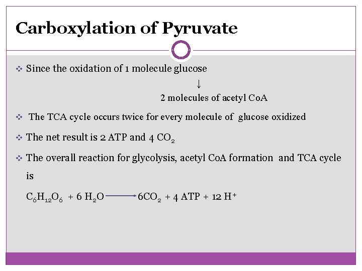 Carboxylation of Pyruvate v Since the oxidation of 1 molecule glucose ↓ 2 molecules