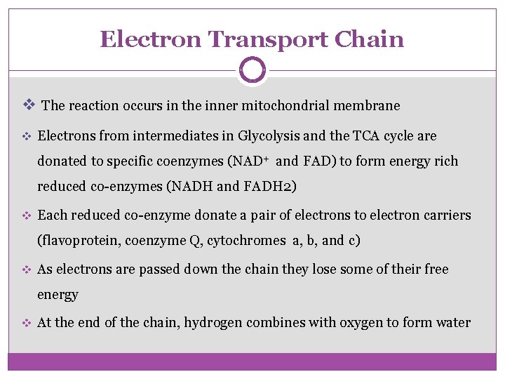 Electron Transport Chain v The reaction occurs in the inner mitochondrial membrane v Electrons