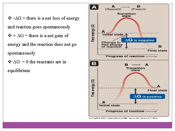 v -∆G = there is a net loss of energy and reaction goes spontaneously