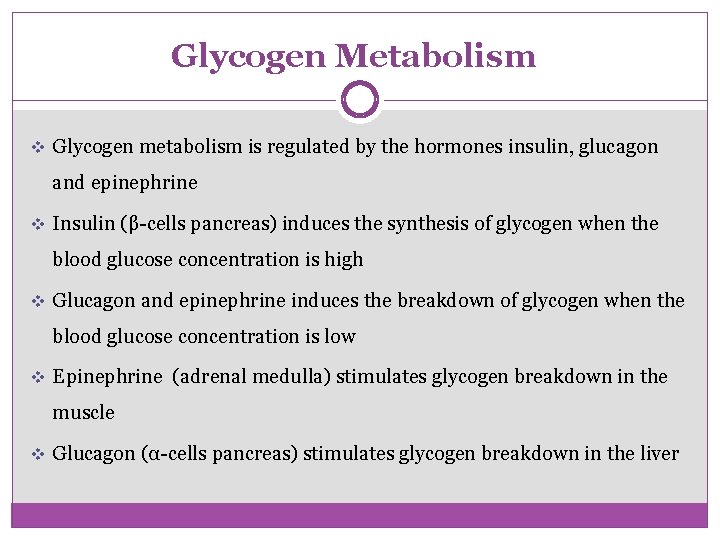 Glycogen Metabolism v Glycogen metabolism is regulated by the hormones insulin, glucagon and epinephrine