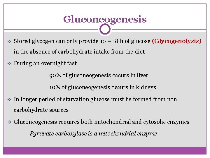 Gluconeogenesis v Stored glycogen can only provide 10 – 18 h of glucose (Glycogenolysis)