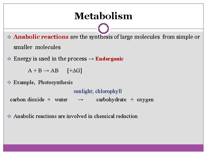 Metabolism v Anabolic reactions are the synthesis of large molecules from simple or smaller