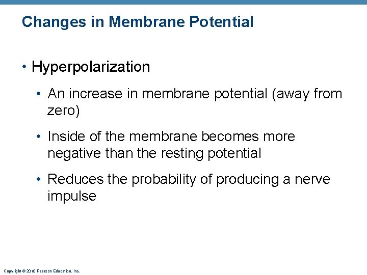 Changes in Membrane Potential • Hyperpolarization • An increase in membrane potential (away from