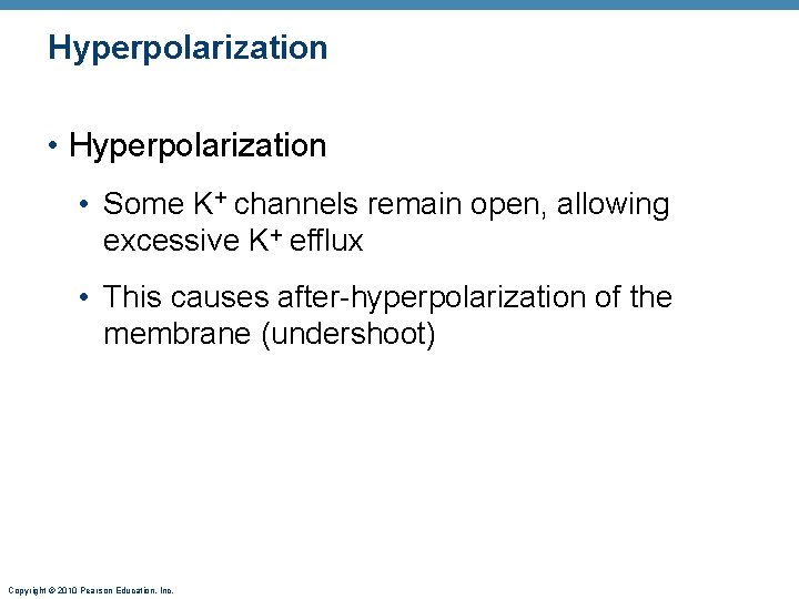 Hyperpolarization • Hyperpolarization • Some K+ channels remain open, allowing excessive K+ efflux •