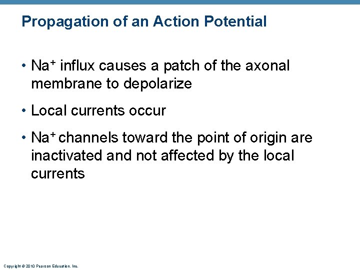 Propagation of an Action Potential • Na+ influx causes a patch of the axonal