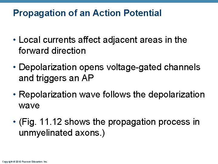 Propagation of an Action Potential • Local currents affect adjacent areas in the forward