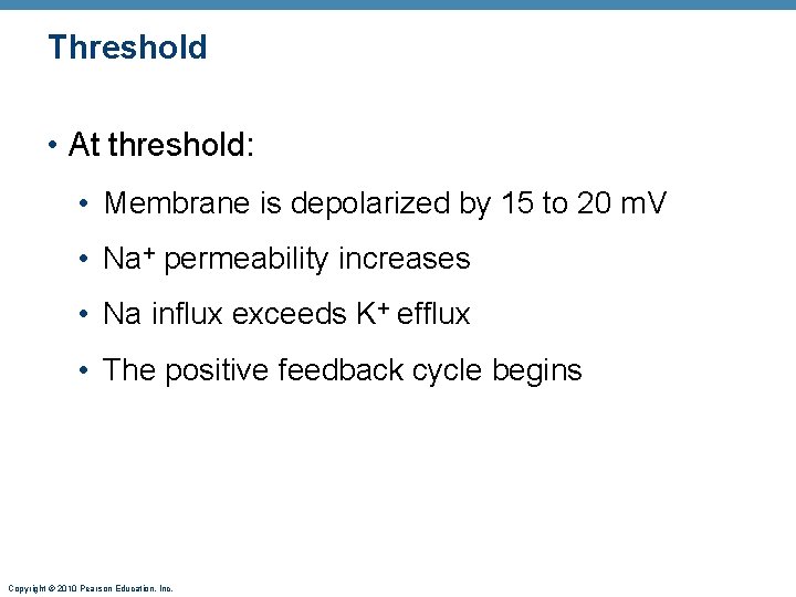 Threshold • At threshold: • Membrane is depolarized by 15 to 20 m. V