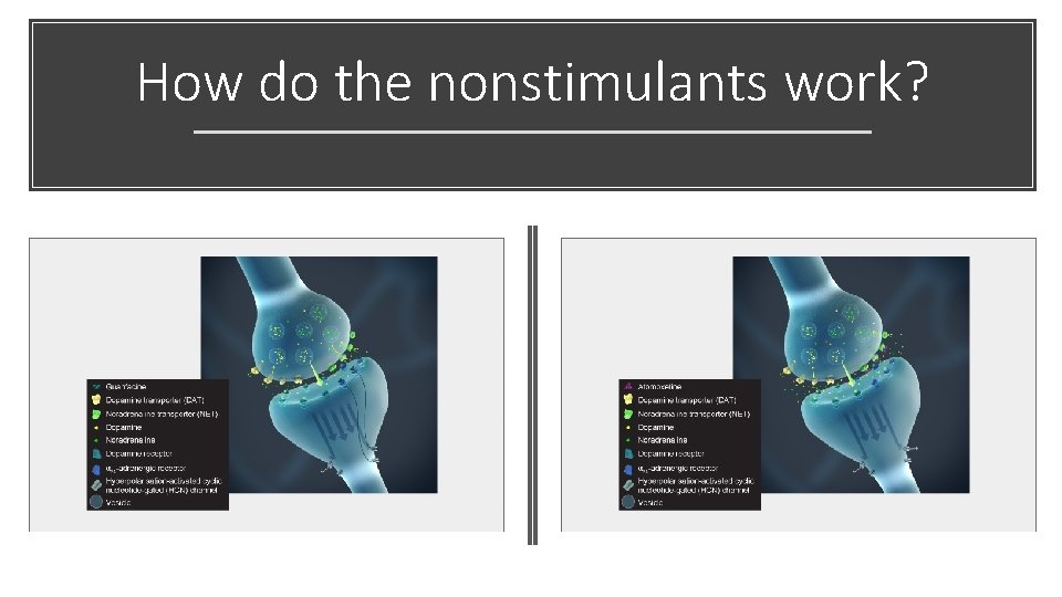 How do the nonstimulants work? 