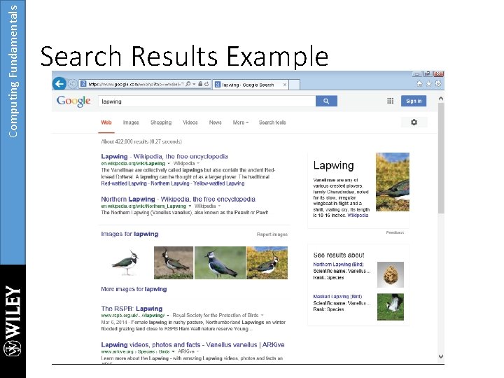 Computing Fundamentals Search Results Example 