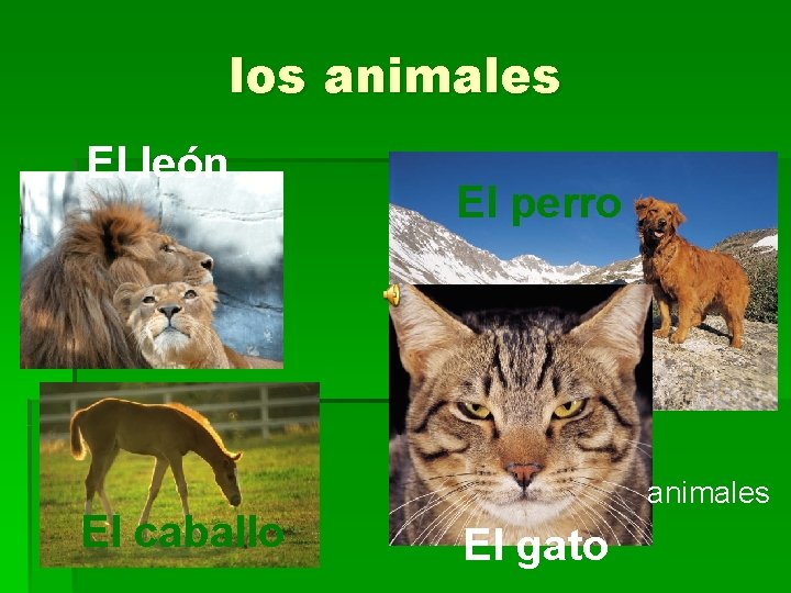 los animales El león El caballo El perro animales El gato 