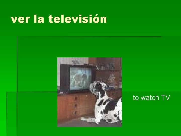 ver la televisión to watch TV 