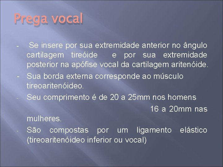 Prega vocal Se insere por sua extremidade anterior no ângulo cartilagem tireóide e por