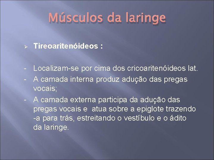 Músculos da laringe Ø Tireoaritenóideos : - Localizam-se por cima dos cricoaritenóideos lat. -