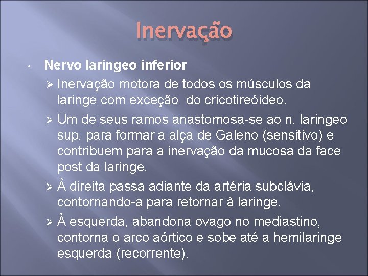 Inervação • Nervo laringeo inferior Ø Inervação motora de todos os músculos da laringe