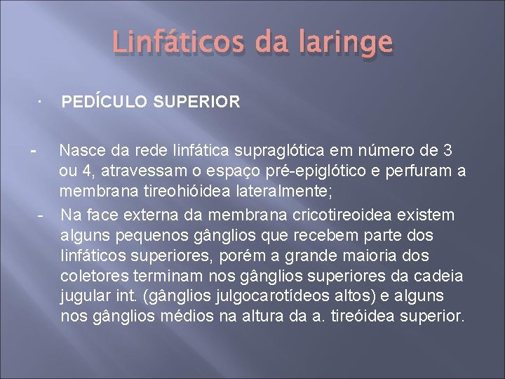 Linfáticos da laringe ∙ - PEDÍCULO SUPERIOR Nasce da rede linfática supraglótica em número