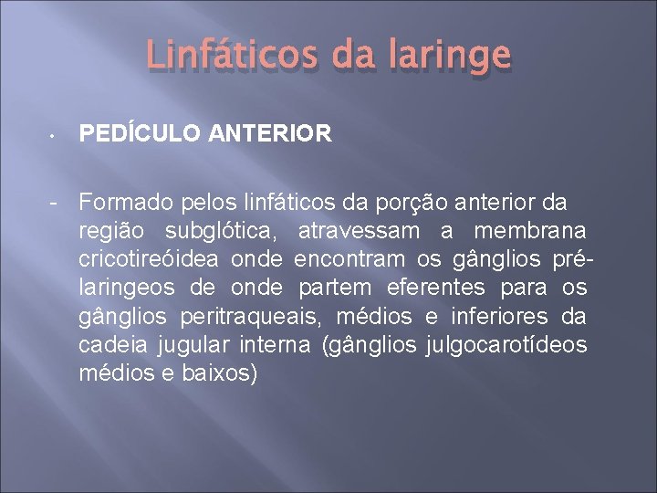 Linfáticos da laringe • PEDÍCULO ANTERIOR - Formado pelos linfáticos da porção anterior da