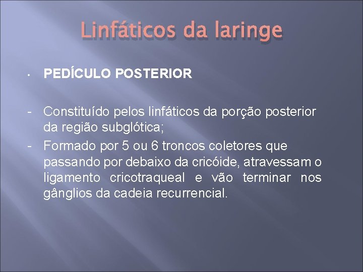 Linfáticos da laringe • PEDÍCULO POSTERIOR - Constituído pelos linfáticos da porção posterior da