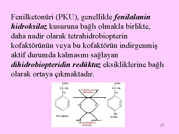 Fenilketonüri (PKU), genellikle fenilalanin hidroksilaz kusuruna bağlı olmakla birlikte, daha nadir olarak tetrahidrobiopterin kofaktörünün