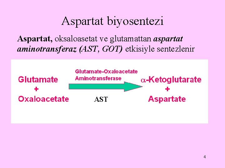 Aspartat biyosentezi Aspartat, oksaloasetat ve glutamattan aspartat aminotransferaz (AST, GOT) etkisiyle sentezlenir AST 4