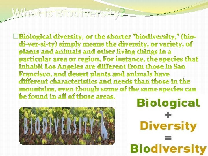 What is Biodiversity? Biodiversity � 