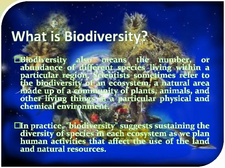 What is Biodiversity? �Biodiversity also means the number, or abundance of different species living