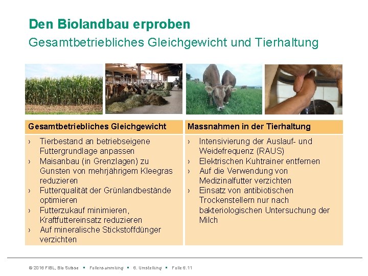 Den Biolandbau erproben Gesamtbetriebliches Gleichgewicht und Tierhaltung Gesamtbetriebliches Gleichgewicht Massnahmen in der Tierhaltung ›