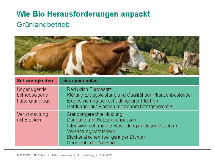 Wie Bio Herausforderungen anpackt Grünlandbetrieb Schwierigkeiten Lösungsansätze Ungenügende betriebseigene Futtergrundlage › › Reduktion Tierbesatz