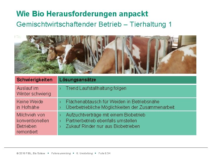 Wie Bio Herausforderungen anpackt Gemischtwirtschaftender Betrieb – Tierhaltung 1 Schwierigkeiten Lösungsansätze Auslauf im Winter