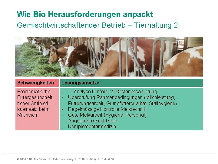 Wie Bio Herausforderungen anpackt Gemischtwirtschaftender Betrieb – Tierhaltung 2 Schwierigkeiten Lösungsansätze Problematische Eutergesundheit, hoher