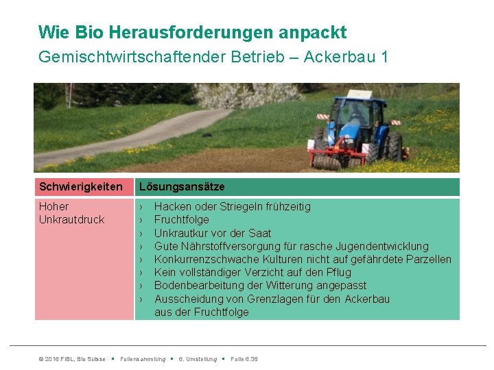 Wie Bio Herausforderungen anpackt Gemischtwirtschaftender Betrieb – Ackerbau 1 Schwierigkeiten Lösungsansätze Hoher Unkrautdruck ›