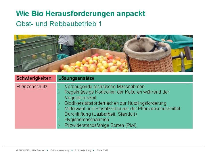 Wie Bio Herausforderungen anpackt Obst- und Rebbaubetrieb 1 Schwierigkeiten Lösungsansätze Pflanzenschutz › › ›