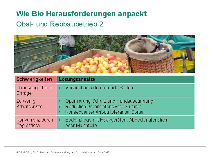 Wie Bio Herausforderungen anpackt Obst- und Rebbaubetrieb 2 Schwierigkeiten Lösungsansätze Unausgeglichene Erträge › Verzicht