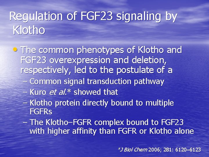 Regulation of FGF 23 signaling by Klotho • The common phenotypes of Klotho and