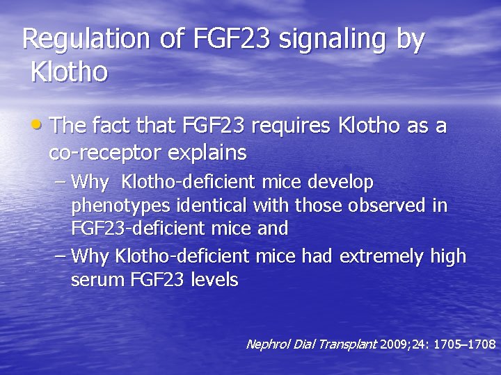 Regulation of FGF 23 signaling by Klotho • The fact that FGF 23 requires