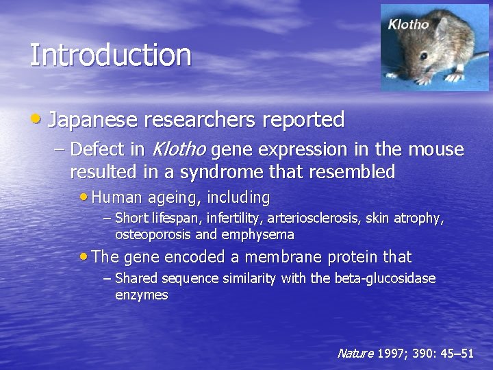 Introduction • Japanese researchers reported – Defect in Klotho gene expression in the mouse